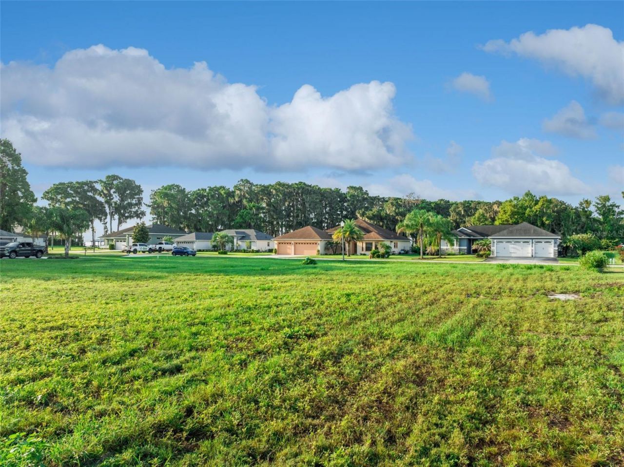 12045 Eagle Point Court , Leesburg, FL 34788 Photo