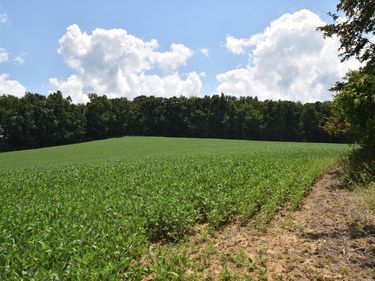 0 Beechy Creek Road, Wallingford, KY 41093