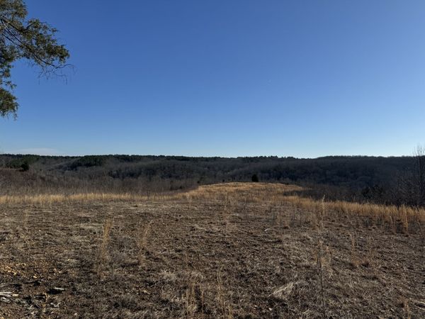 365 Twin Pines Overlook , Unit 4, Lobelville, TN 37097