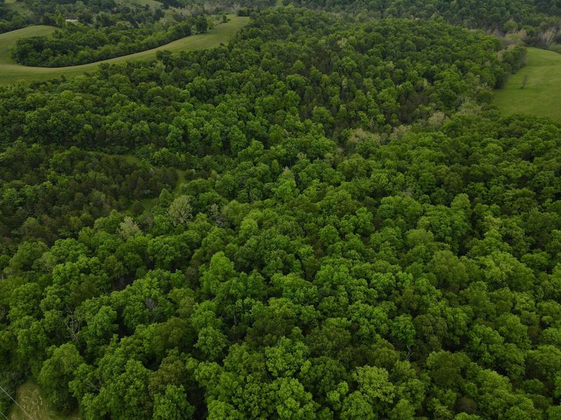 8275 KY-10, Falmouth, KY 41040 Photo 12