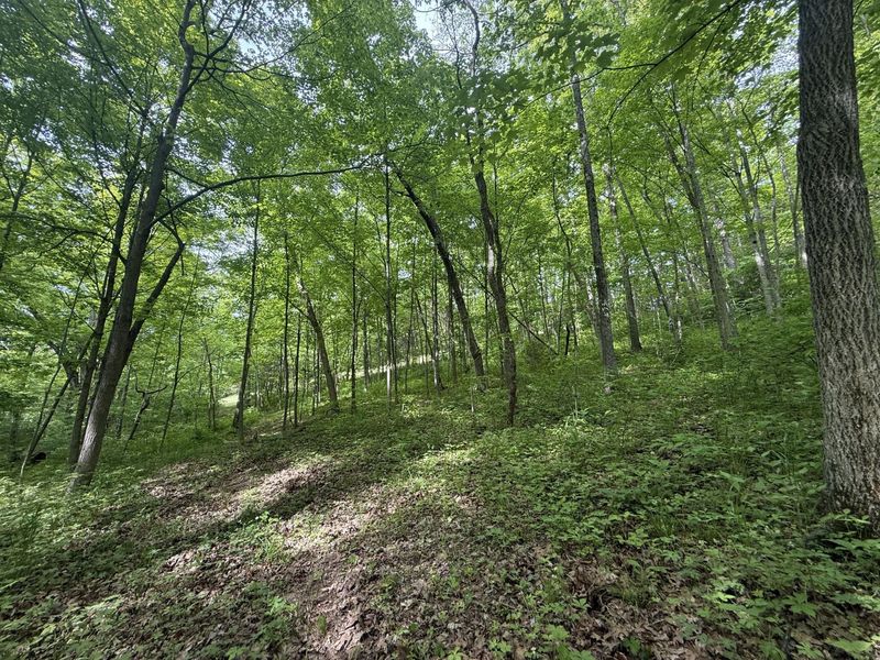 8275 KY-10, Falmouth, KY 41040 Photo 13