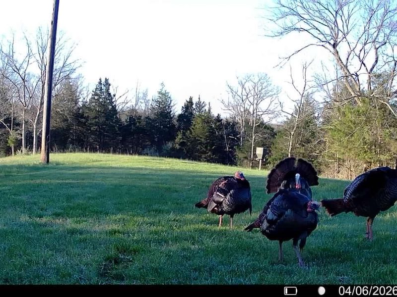 8275 KY-10, Falmouth, KY 41040 Photo 15