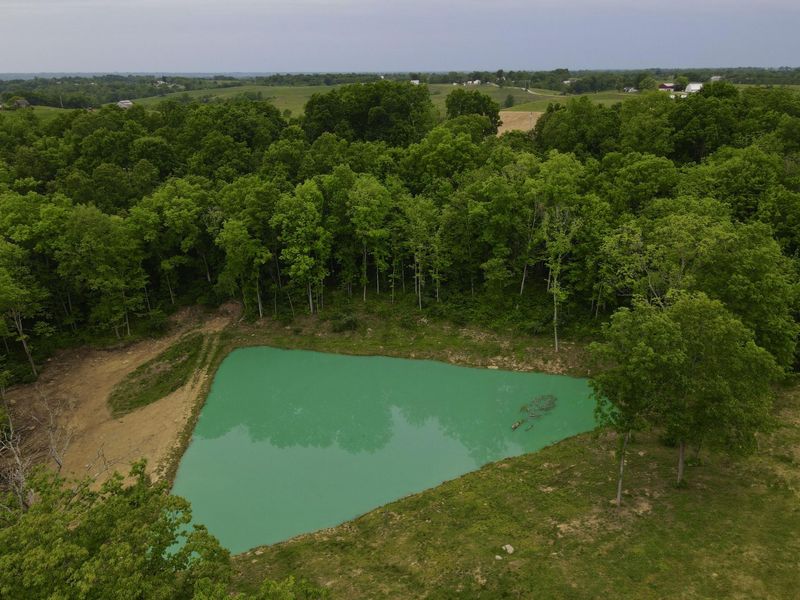 8275 KY-10, Falmouth, KY 41040 Photo 16