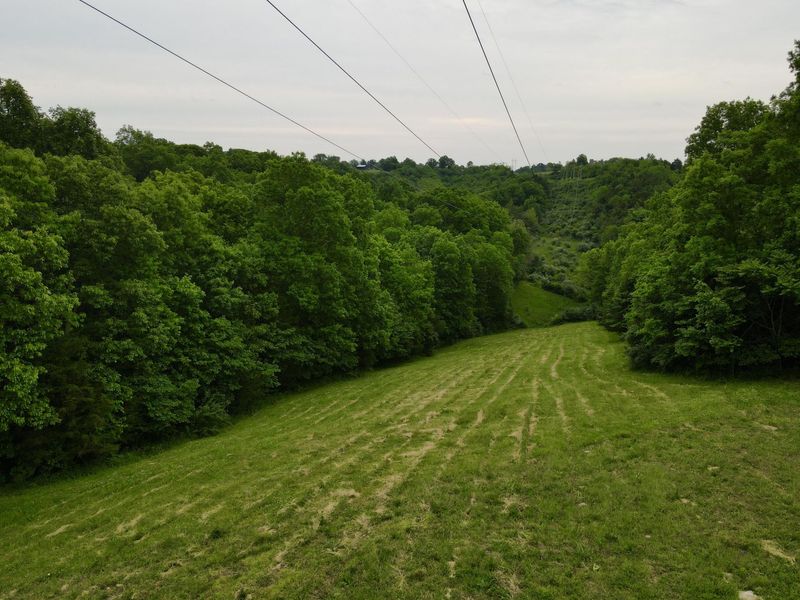 8275 KY-10, Falmouth, KY 41040 Photo 19