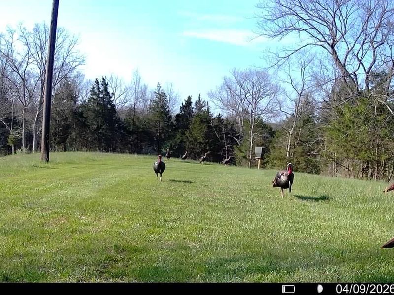 8275 KY-10, Falmouth, KY 41040 Photo 46