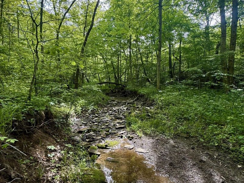 8275 KY-10, Falmouth, KY 41040 Photo 49