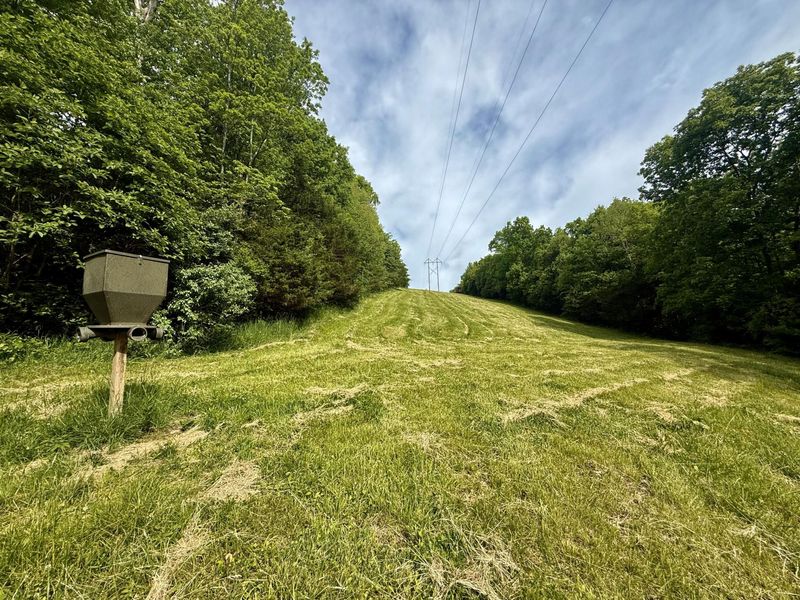 8275 KY-10, Falmouth, KY 41040 Photo 50