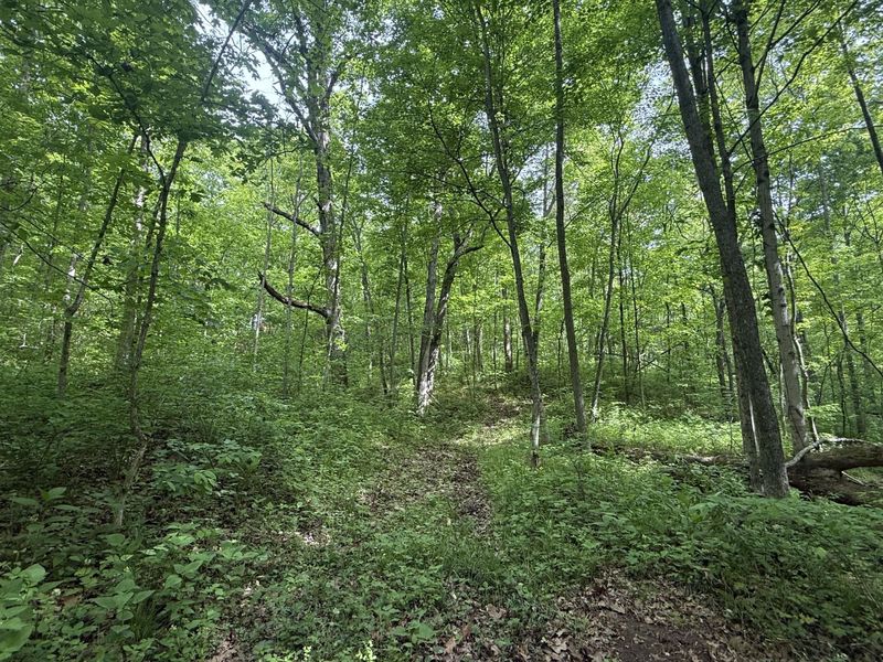 8275 KY-10, Falmouth, KY 41040 Photo 8