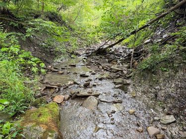 Creek Road, Sardinia, NY 14134