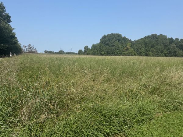 0 Bobbitt Rd , Medina, TN 38355