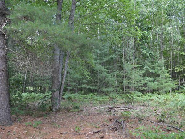 8430 Grass Lake Road NE, Kalkaska, MI 49646