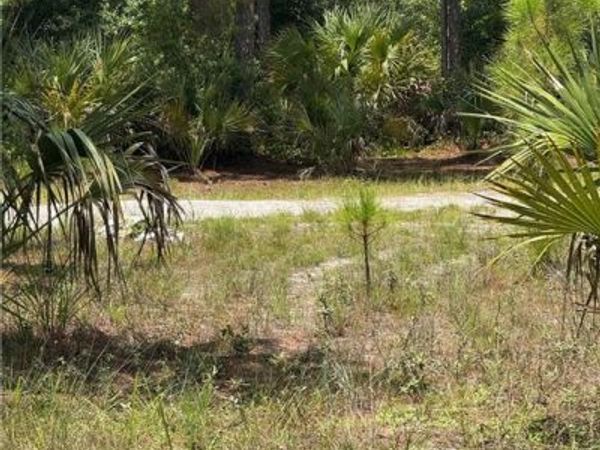 1011 Truman AVE , LEHIGH ACRES, FL 33972