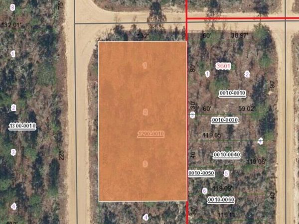 XX Orchid Avenue, Interlachen, FL 32148