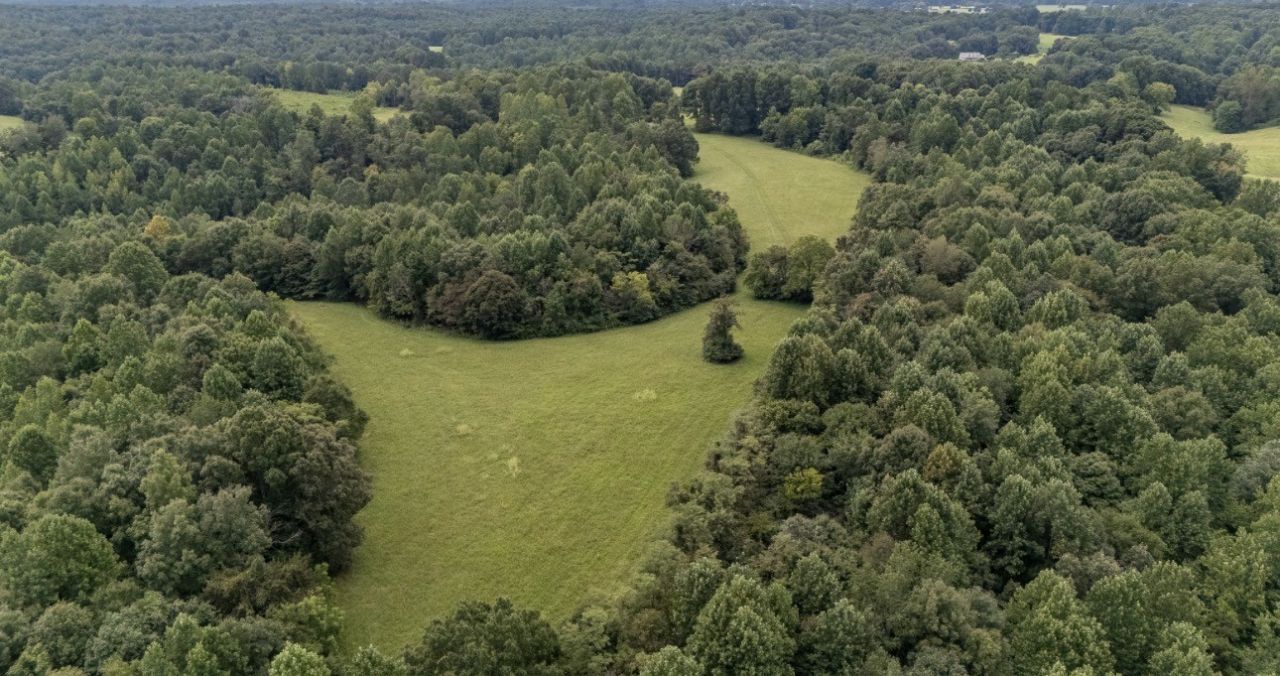 0 Weakley Creek Road, Lawrenceburg, TN 38464 Main Photo