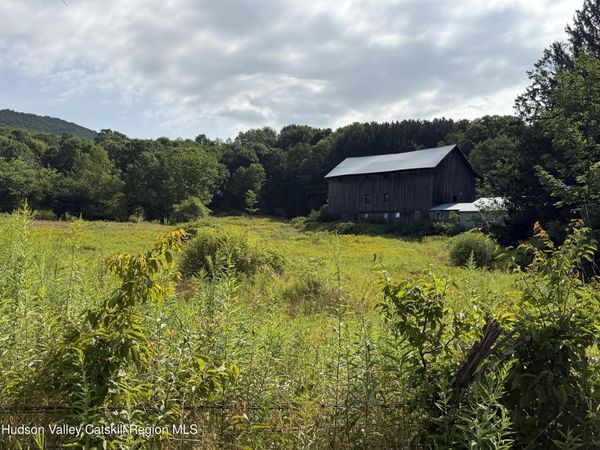1006 Gladstone Hollow Road, Andes, NY 13731