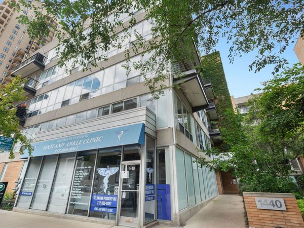 1440 S Michigan Avenue , Unit 219, Chicago, IL 60605