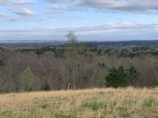 TURKEY KNOB RD, Counce, TN 38326