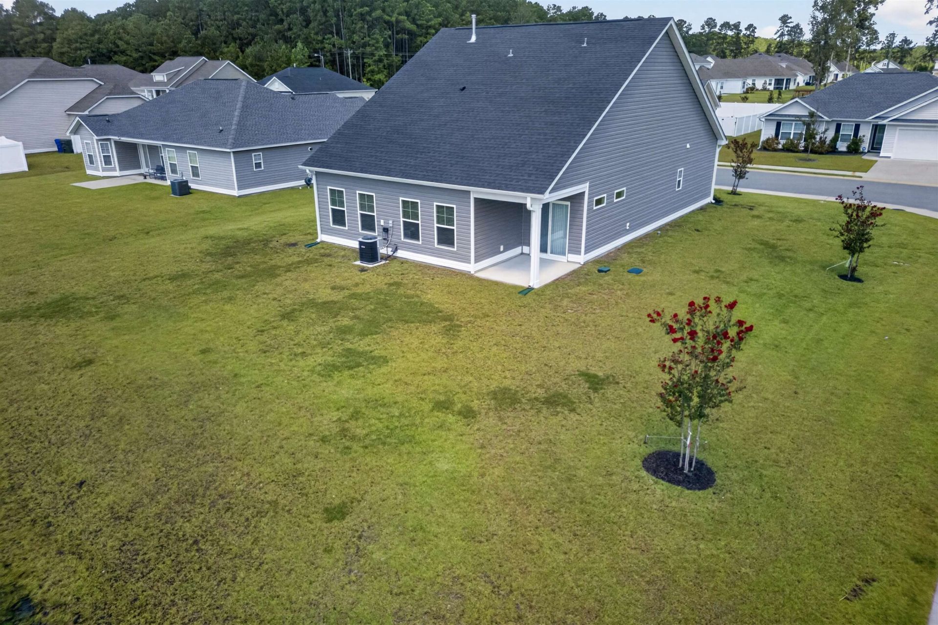 4208 Danby Lane Photo 51