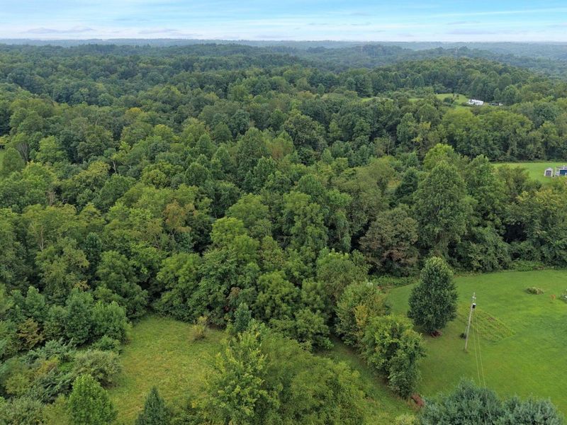 10110 S County Road 12 , Thornville, OH 43076 Photo 6