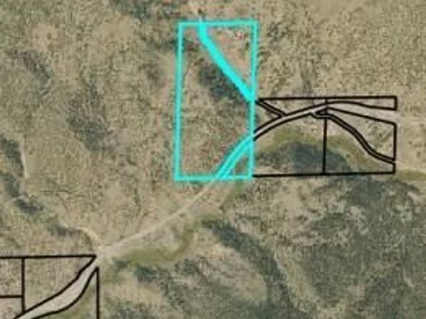 29355 Cr-305 , Buena Vista, CO 81211
