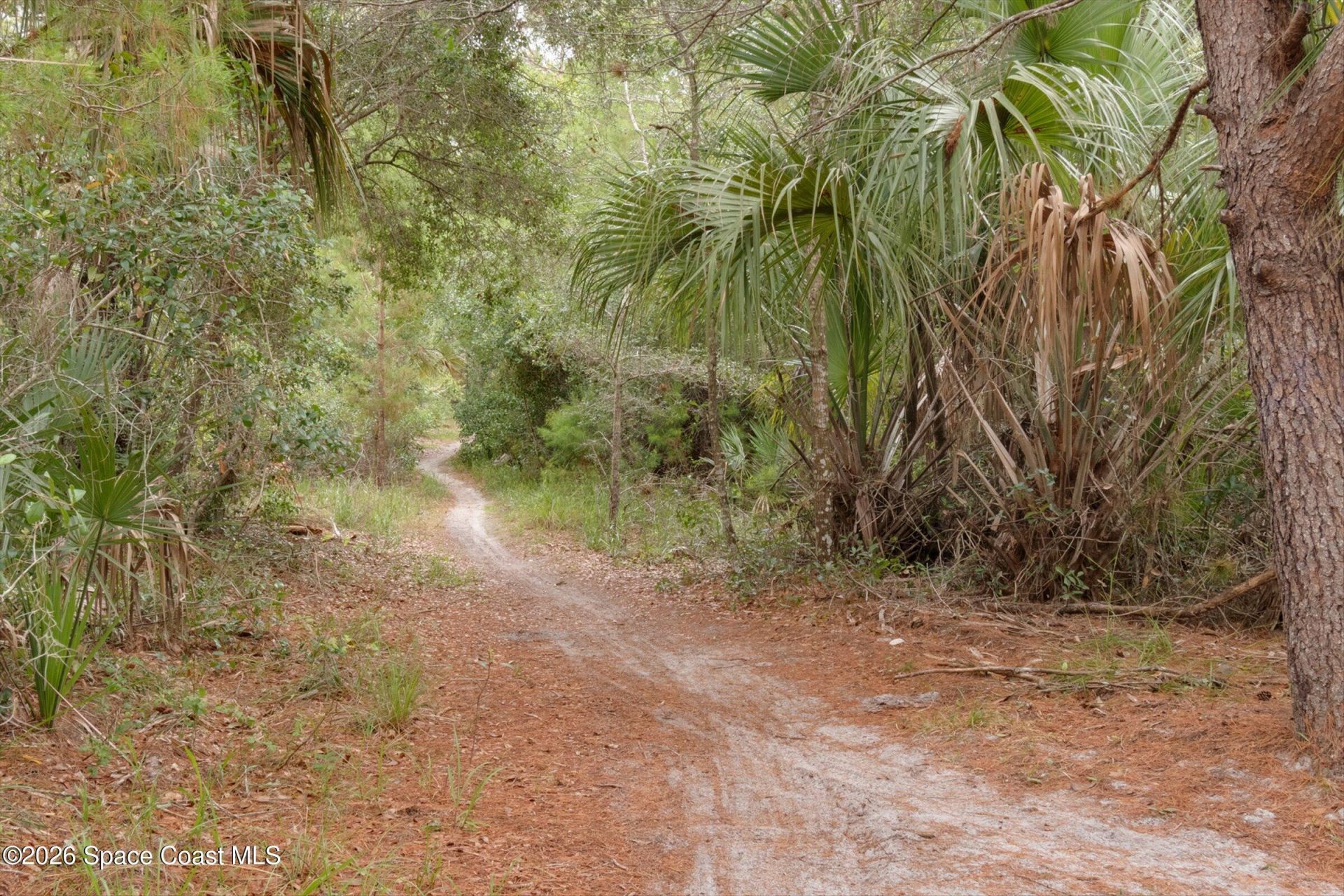 910 Brookshire Circle, Malabar, FL 32950 Photo