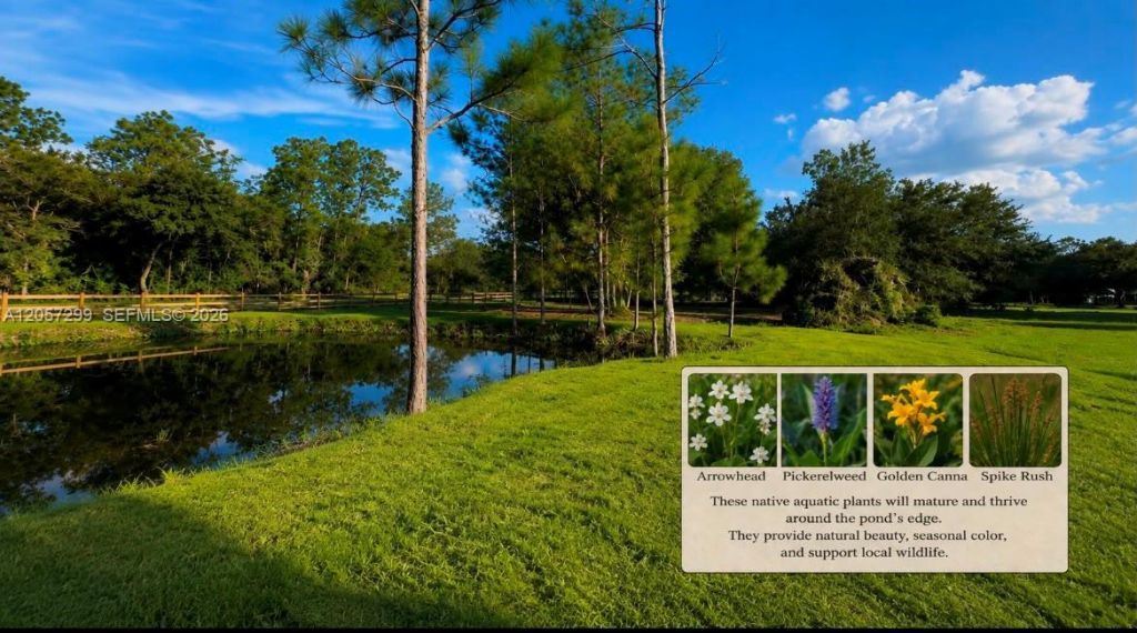 6700 Louella Dr , Fort Myers, FL 33905 Photo