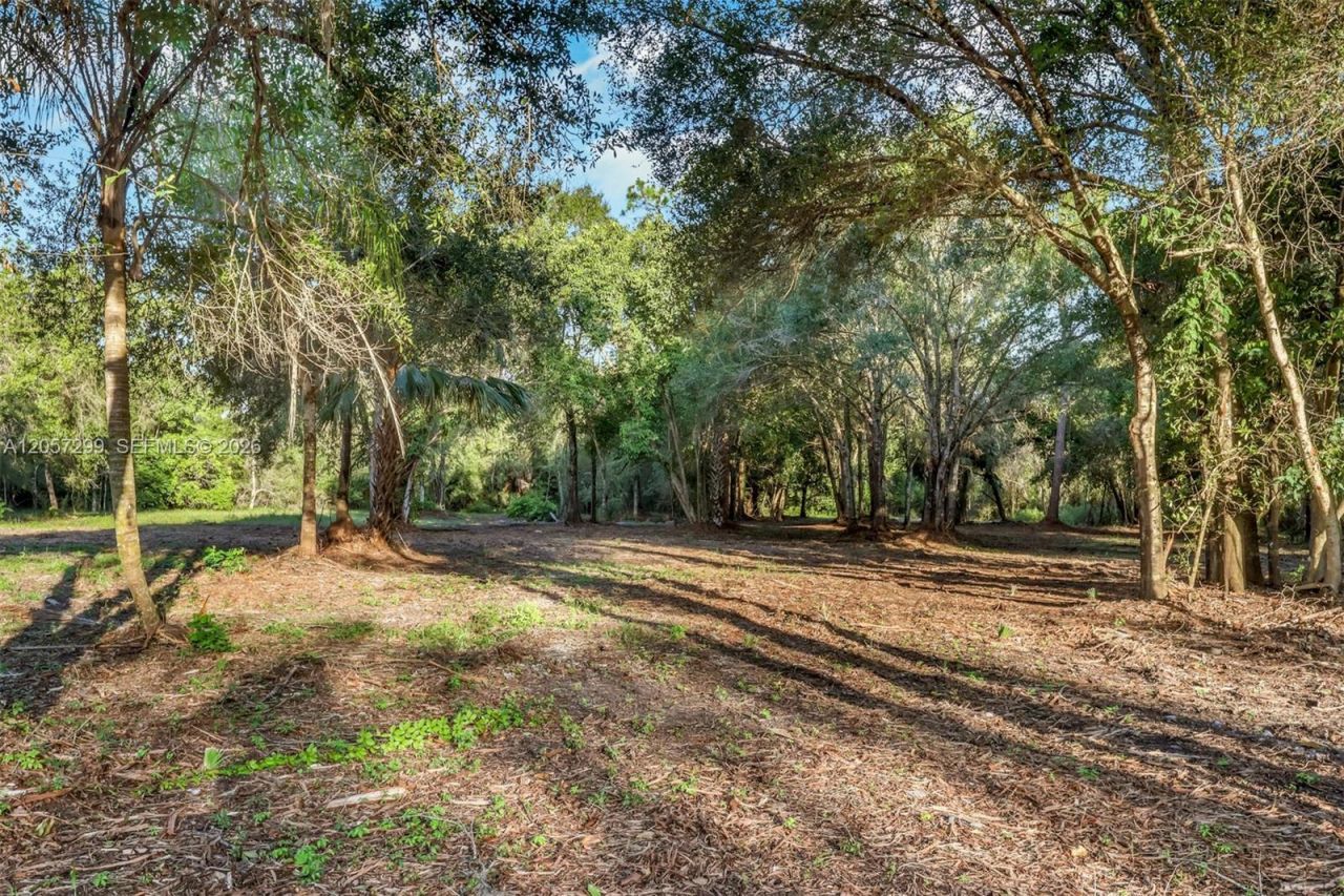 6700 Louella Dr , Fort Myers, FL 33905 Photo