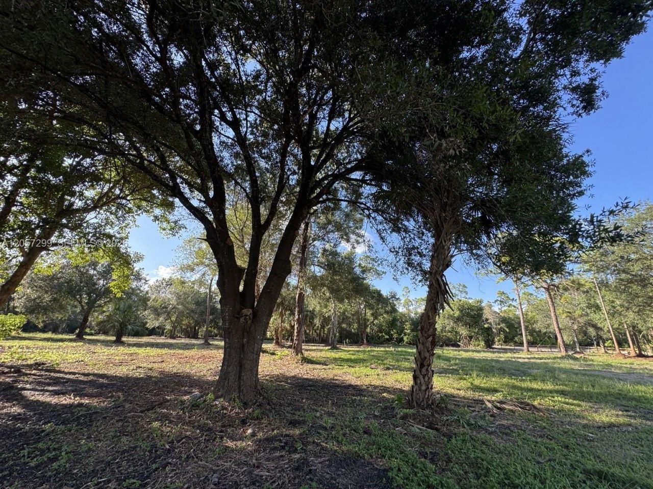 6700 Louella Dr , Fort Myers, FL 33905 Photo