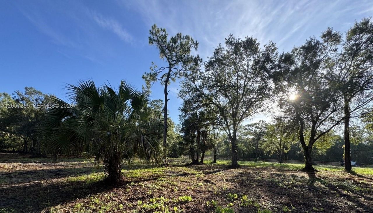 6700 Louella Dr , Fort Myers, FL 33905 Photo