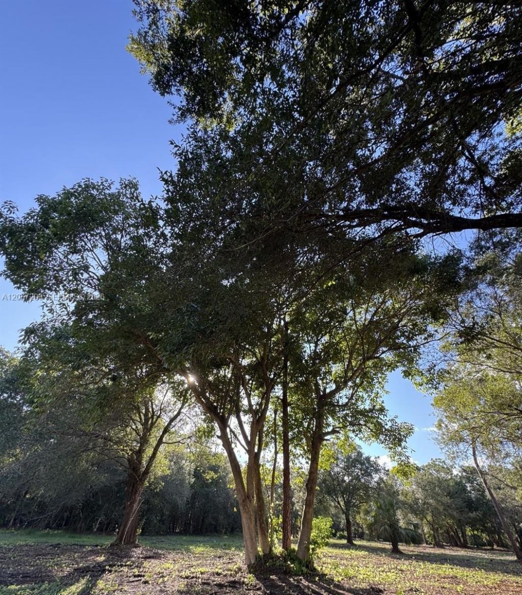 6700 Louella Dr , Fort Myers, FL 33905 Photo