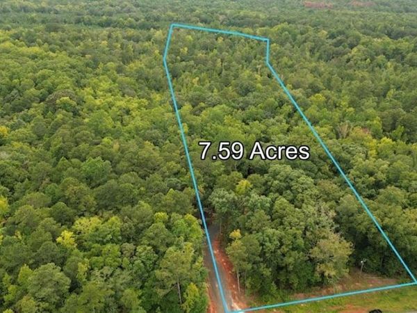 0 Roosevelt HWY - LOT 2, Warm Springs, GA 31830