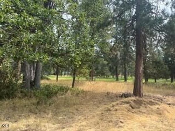 0 Merganser Road, Unit Lot 104, Klamath Falls, OR 97601