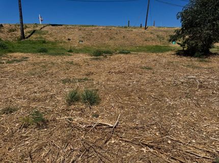 301 Brannan Island Rd, Isleton, CA 95641 Photo