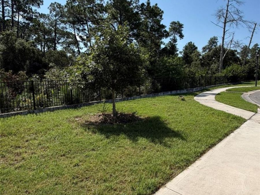 Property Image 64