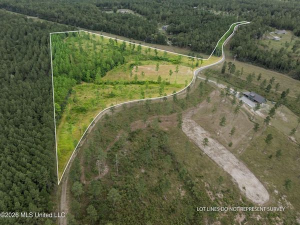 48 Clear Pines Drive, Sumrall, MS 39482