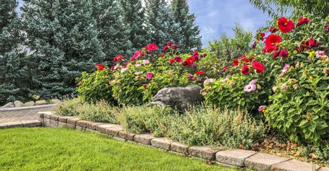 423 Claire Court, Gardnerville, NV 89460 Photo