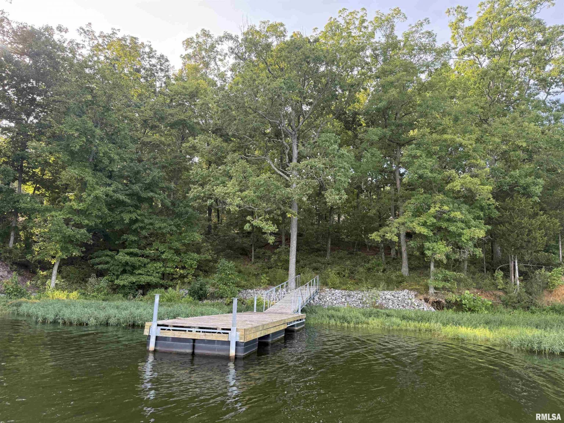 Lot 238 Parrish Ridge Lane, Goreville, IL 62959 Main Photo