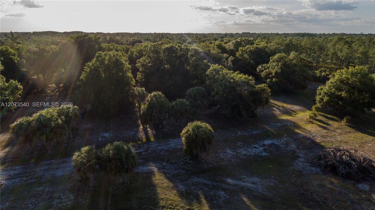 3880 Packinghouse Rd , Alva, FL 33920 Photo