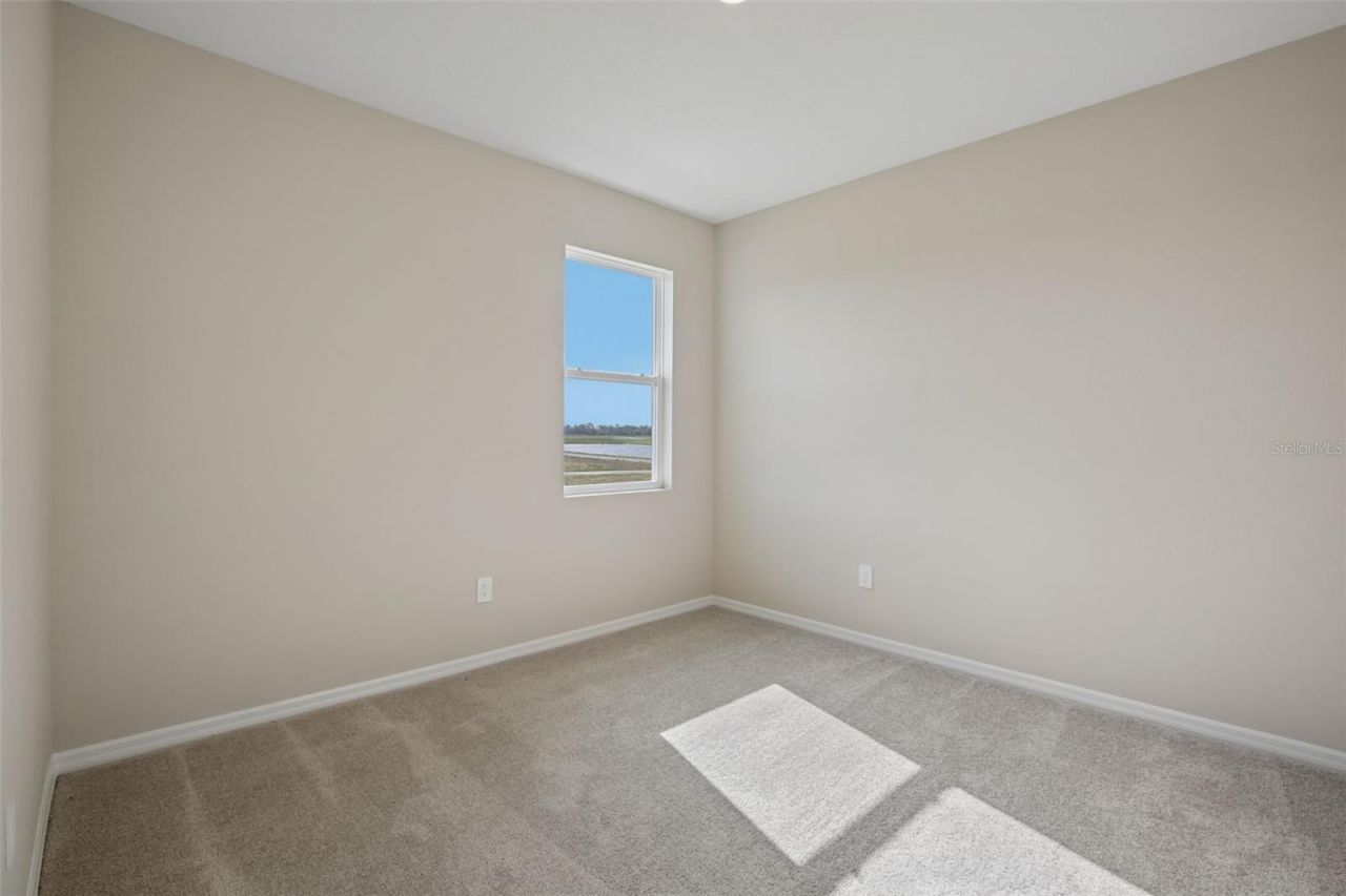 5969 Fresh Flora Drive, Wimauma, FL 33598 Photo