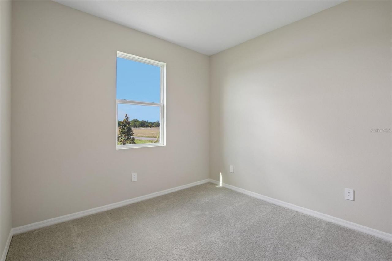 5969 Fresh Flora Drive, Wimauma, FL 33598 Photo