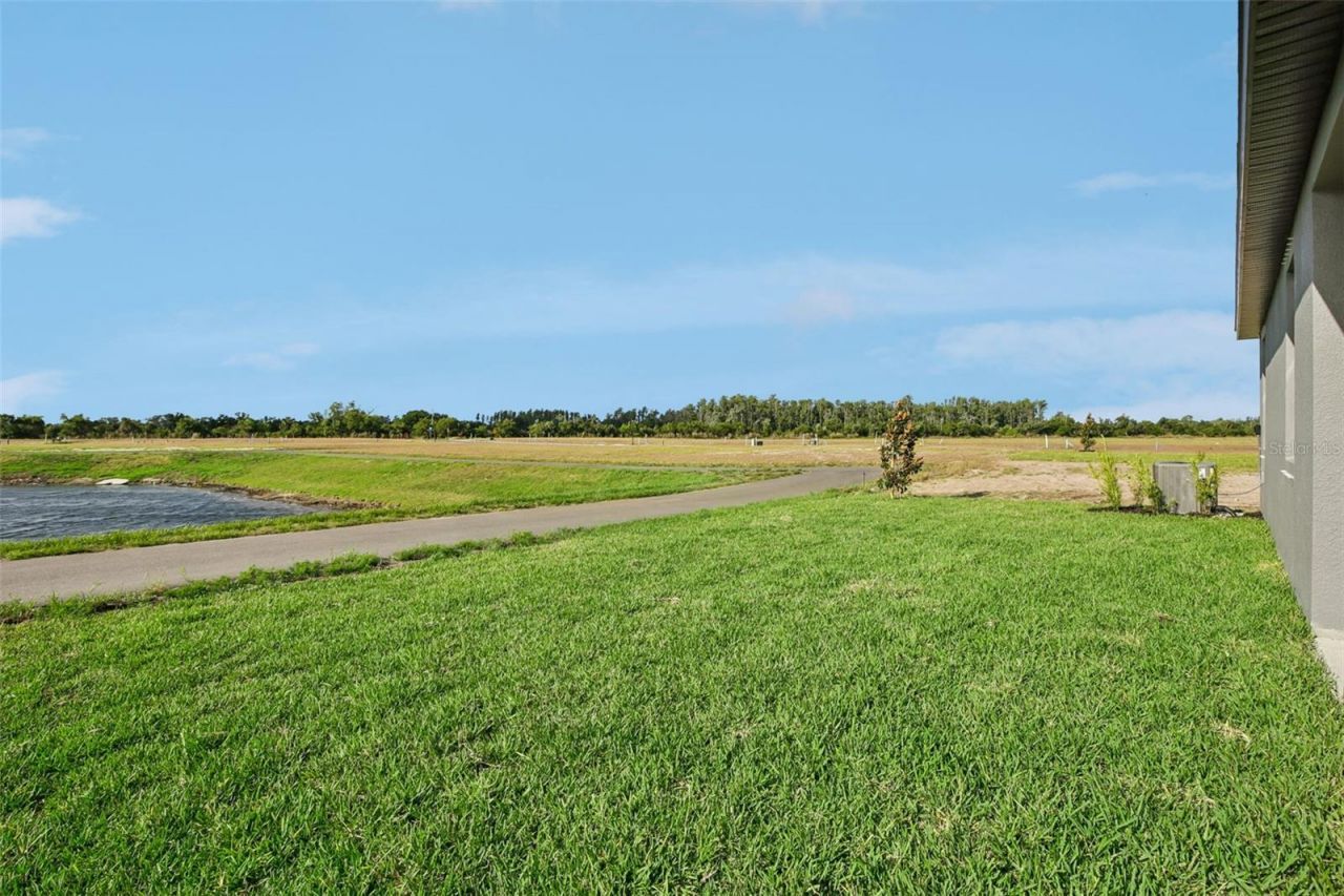 5969 Fresh Flora Drive, Wimauma, FL 33598 Photo