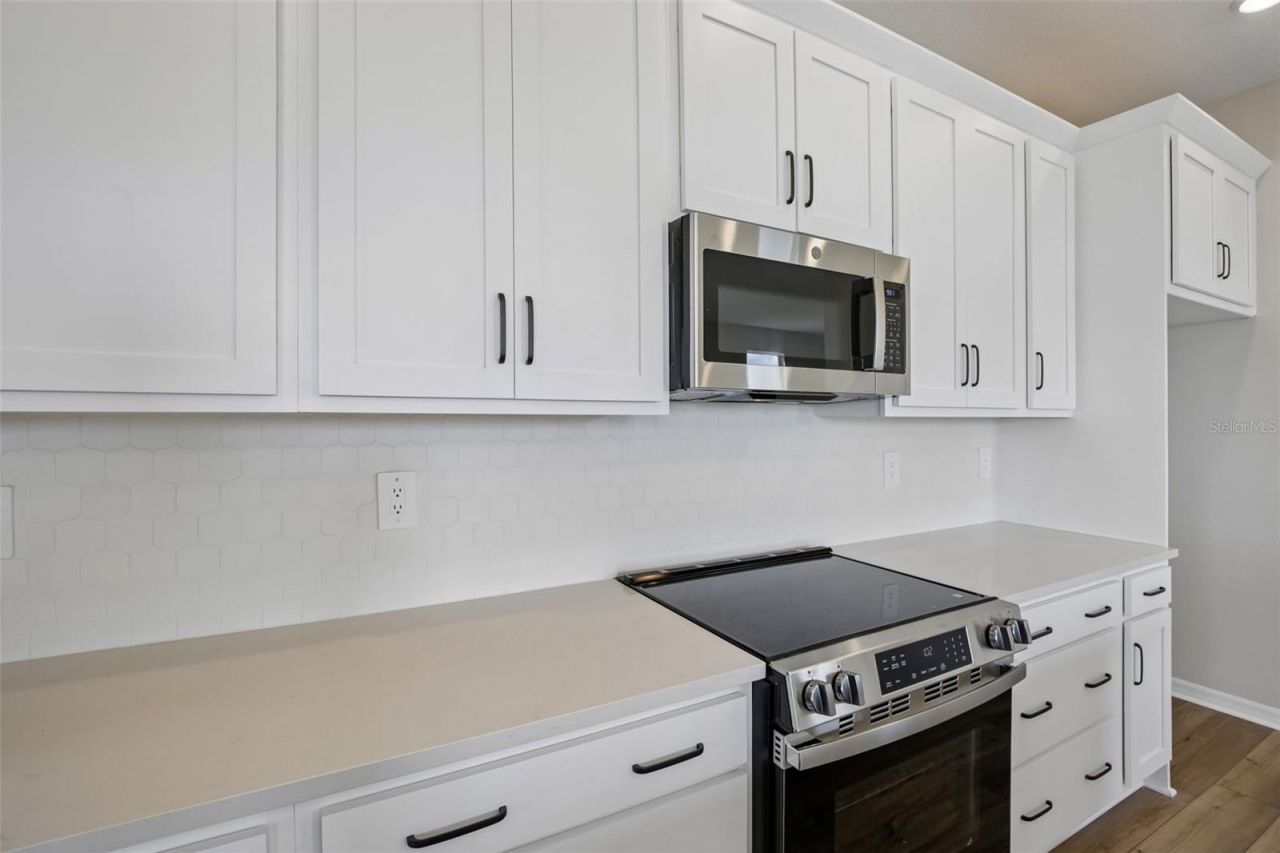 5969 Fresh Flora Drive, Wimauma, FL 33598 Photo