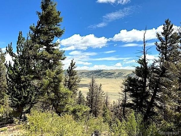 2022 Middle Fork Vista , Fairplay, CO 80440
