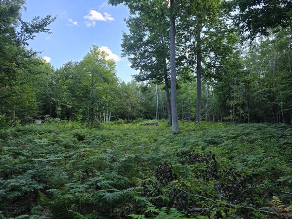 2926 White Oak Trail, Cheboygan, MI 49721