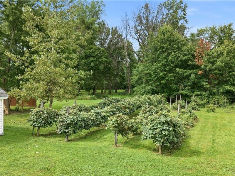 816 Churchill Road, Girard, OH 44420 Photo 29