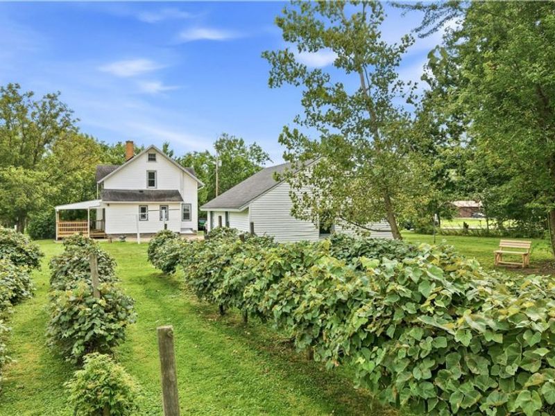 816 Churchill Road, Girard, OH 44420 Photo 4