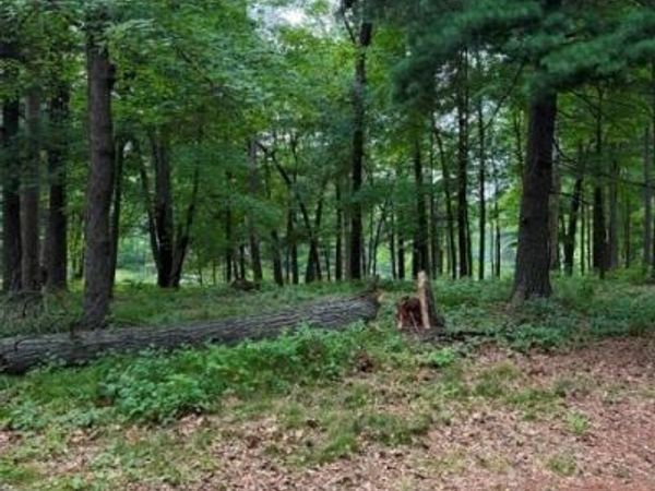 Lot 3 9 3/4 Avenue, Chetek, WI 54728
