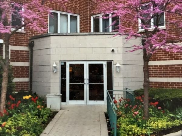 5360 N Lowell Avenue, Unit 311, Chicago, IL 60630