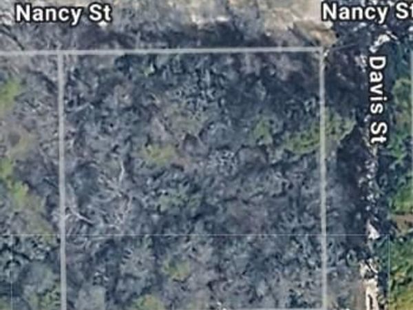 TBD Nancy / Davis ST, Bastrop, TX 78602