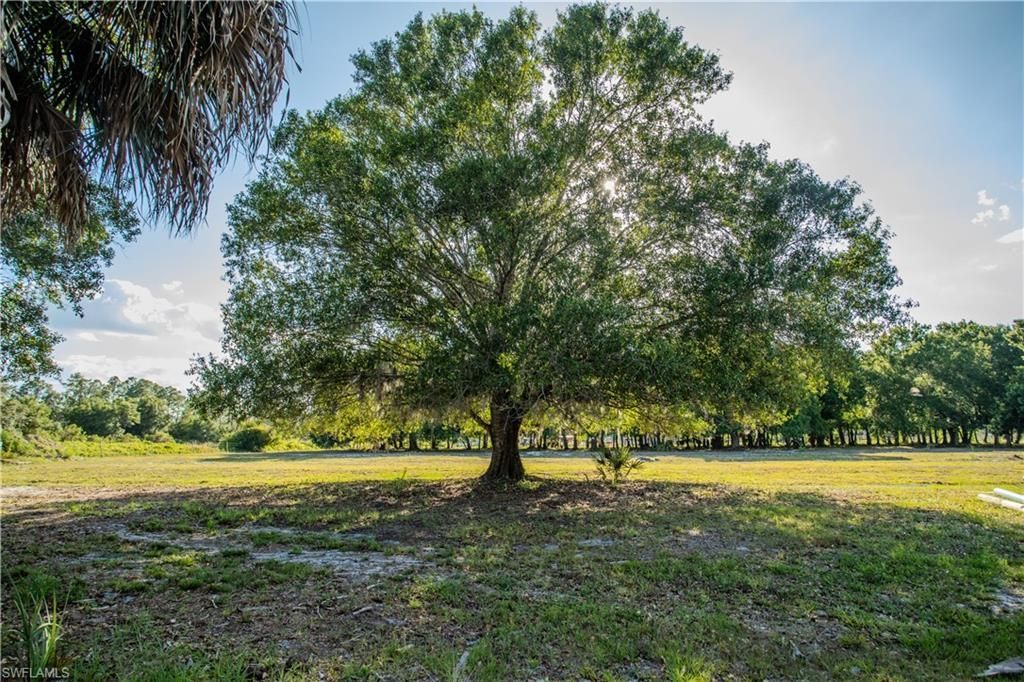 3880 Packinghouse Rd , Alva, FL 33920 Photo